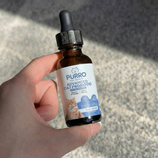 Stop Kidney Function Loss Before It's Irreversible with Purro™ Advanced Cat Probiotic